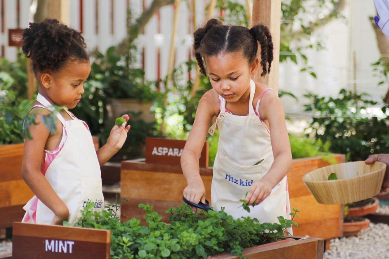 The Ritz-Carlton, Doha Hotel Eksteriør billede Children working in a garden