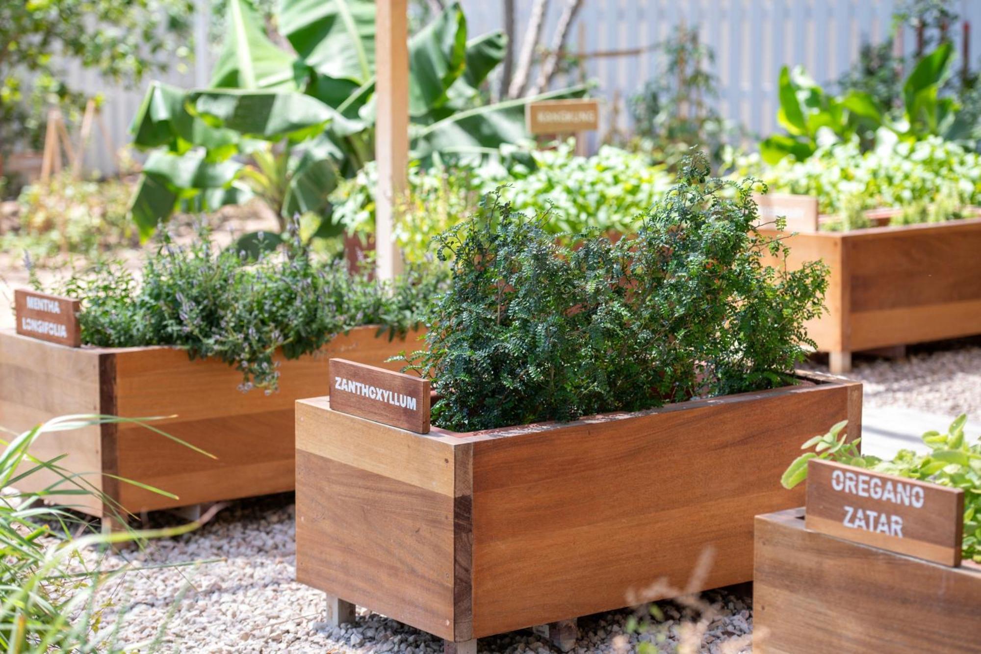 The Ritz-Carlton, Doha Hotel Eksteriør billede Raised beds in a garden