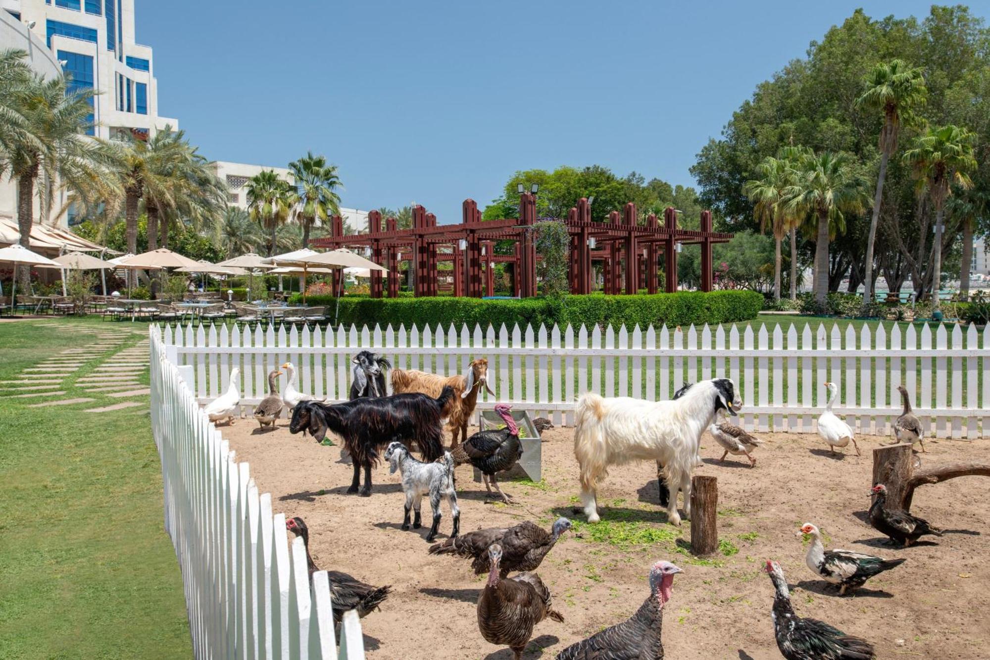 The Ritz-Carlton, Doha Hotel Eksteriør billede The farm at the resort